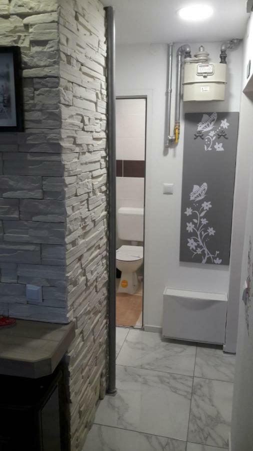 Studio Apartman Marija Загреб Екстериор снимка