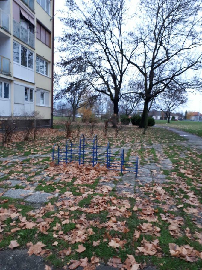 Studio Apartman Marija Загреб Екстериор снимка